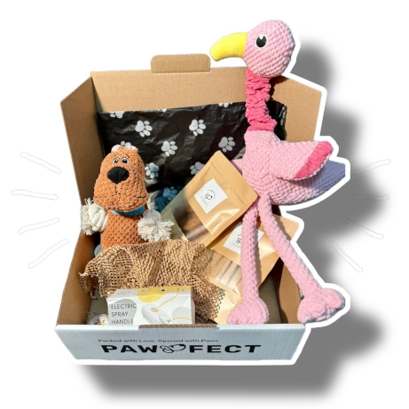 Pawpfect Box filled with treats and toys.